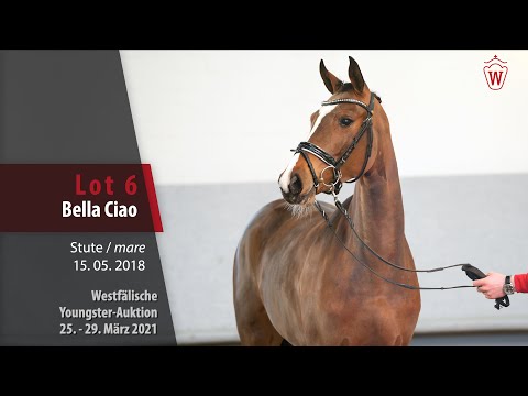 Westf. Youngster-Auktion 25.- 29. März 2021 Lot 6 Bella Ciao Stute v.  Benicio - Starnberg