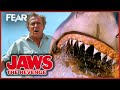 Jaws Attacks Michael Caine's Plane | Jaws: The Revenge | Fear