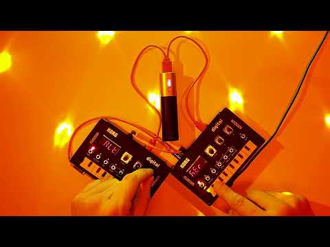 Korg NTS-1 x 2 with Sinevibes Odds + Ruismaker