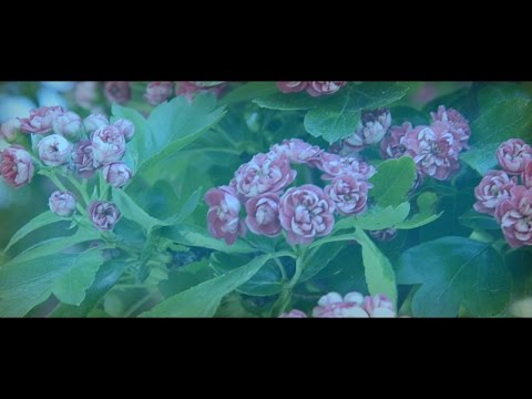 Lewa strona Sanu / Spacerkiem po Przemyślu #7