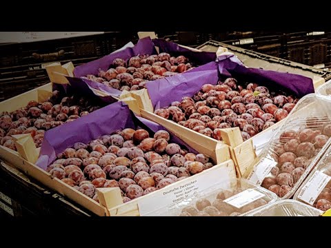 Pflaume und Zwetsch(g)e - Wo ist der Unterschied (Selgros Cash & Carry)?