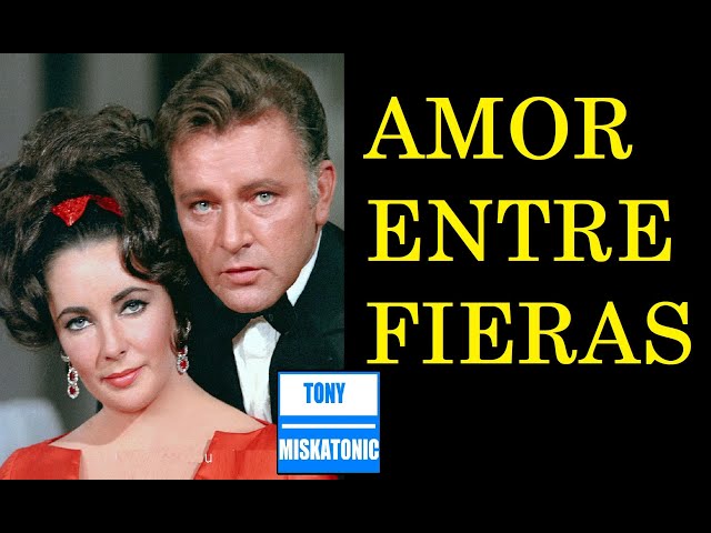 Vídeo relacionado con El amor y la furia: La verdadera historia de amor de Elizabeth Taylor y Richard Burton (Narrativa)