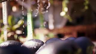 Download lagu CUKUP SEMENE  vocal : Ela Nano Ryanto mp3