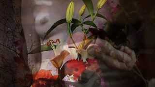 "Yo Me Niego"... Rosario Flores