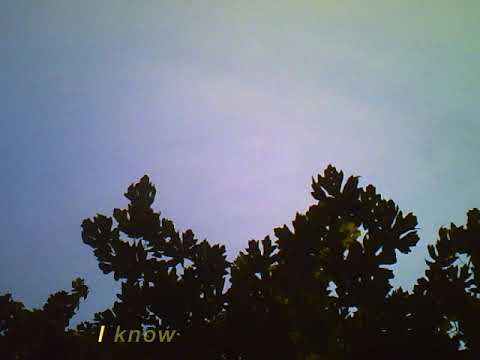 Snoh Aalegra - Sweet Tea (Lyric Video)