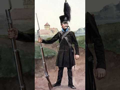 The Brunswick Regiment The Black Legion