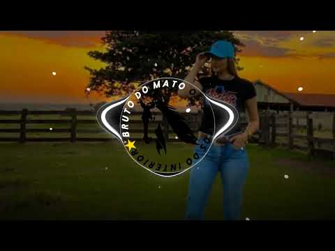 MC MATHEUZINHO   E  LEO E RAPHAEL  E DJ PEDRO  RAMOS - AGROLOVE ( @brutodomato2020 )