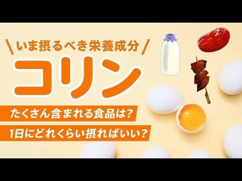 ファブリス・コリンについて詳しく解説