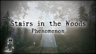 Mysterious Stairs In The Woods Phenomenon: Source of Paranormal Activity?