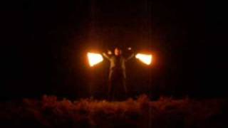 preview picture of video 'Fire Tarantula Bezogen'