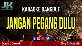 Download lagu JANGAN PEGANG DULU//NADA CEWEK//ELVY SUKAESIH mp3