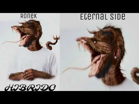 04- " 1997" - Ronek ( Híbrido )