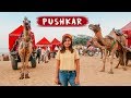 EXPLORING PUSHKAR | Pushkar Camel Fair 🐪  | Things to do in Pushkar, Rajasthan | Kritika Goel