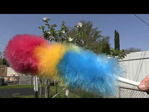 No Bees, No Problem - How To Improve Pollination In Fruit Trees