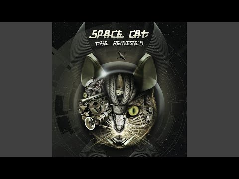 Shut up & Dance The Cat Mix