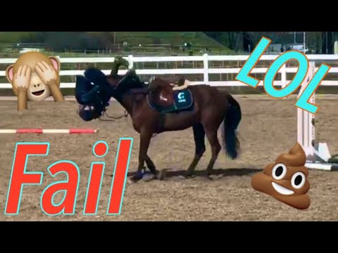 , title : 'Hästfails - Horse fails and falls'