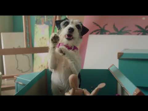 Nimisha Sirohi Titan WE Phone Finder, VO by Nimisha Sirohi