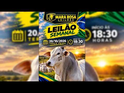 MARA ROSA LEILÕES - GOIÁS - LEILÃO DE GADO DE CORTE 20/10/2026