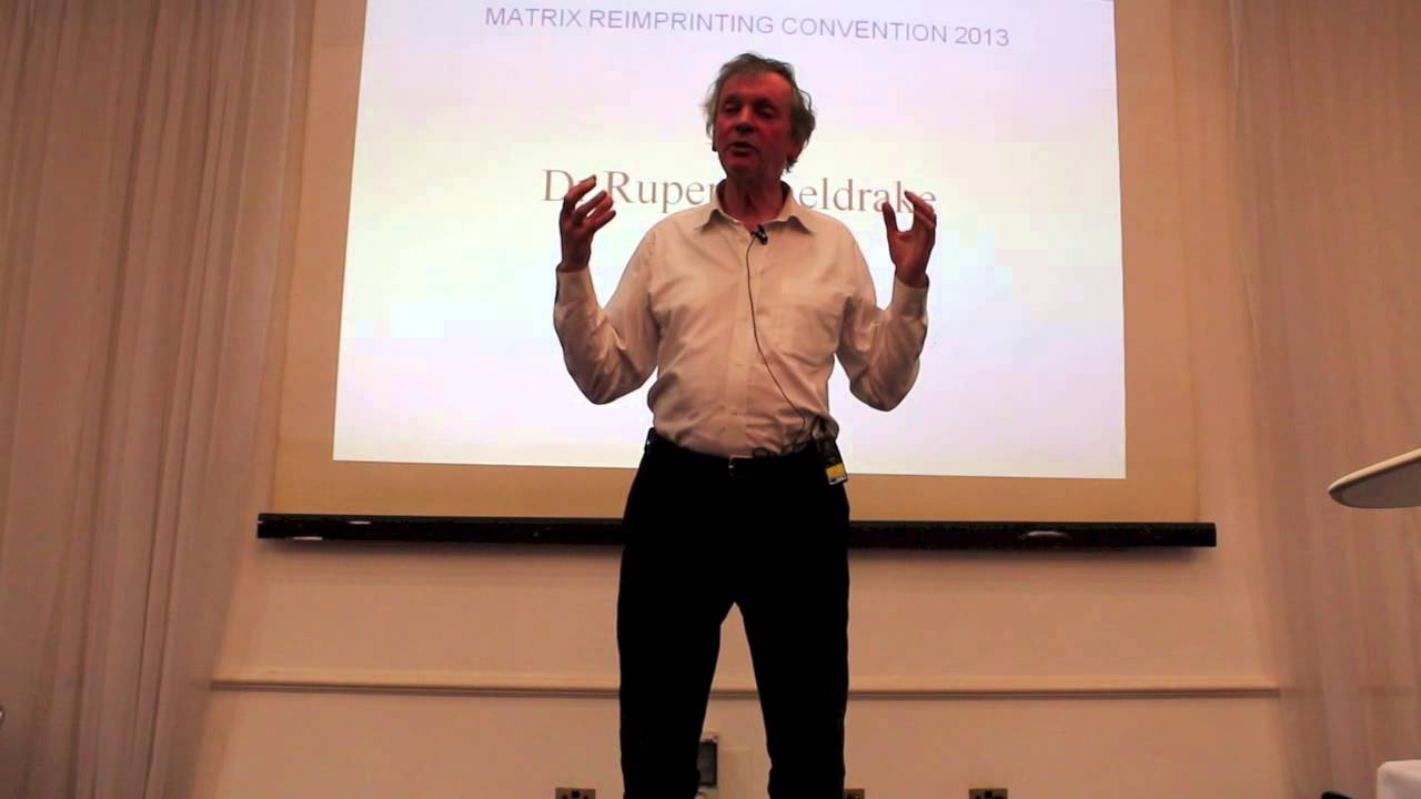 Matrix Reimprinting Convention 2013 (4)