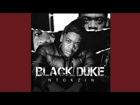 Ntokzin feat. Boibizza - Sika Bopha (Official Audio)