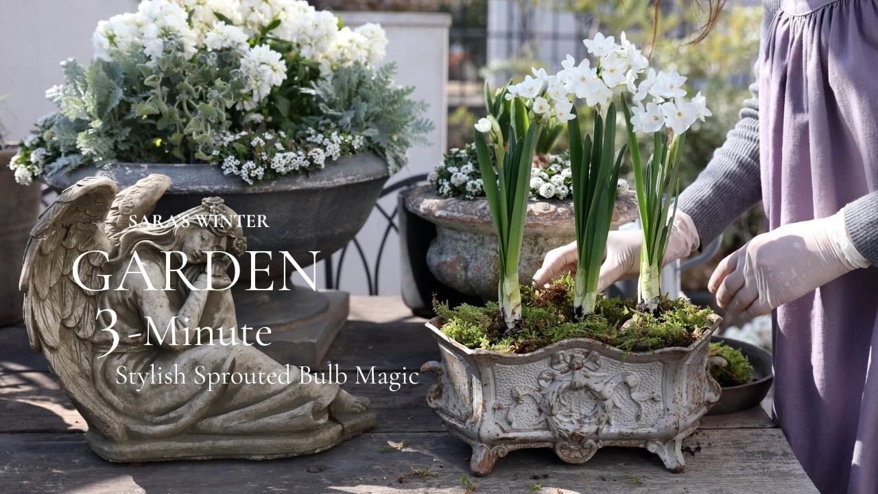 3分でできるのにおしゃれ。芽出し球根マジック6選