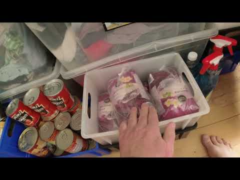 MongoTV_10378 - ENGLISH VLOG - Have a Good Friday And Weekend