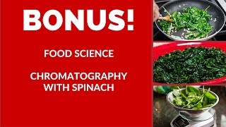 Sup! Kids Cooking Show Food Science Trinidad and Tobago