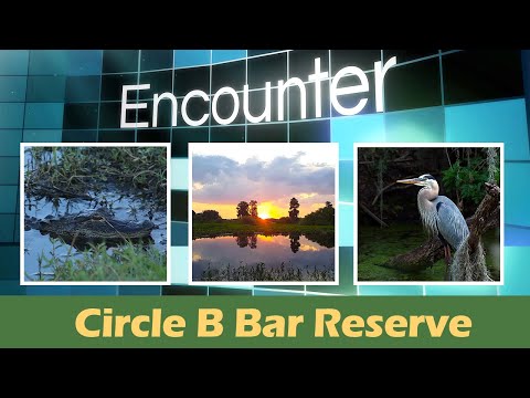 Encounter - Circle B Bar Reserve
