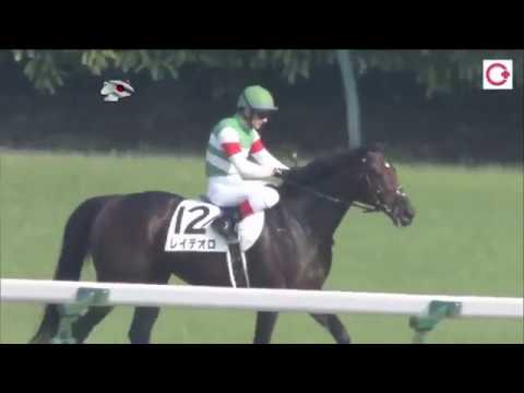 2017日本打吡大賽 2017 Tokyo Yushun G1