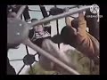 PBS Kids On Chuck E Cheese S On Jungle Gym On ADS On 2004