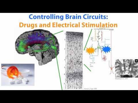Ed Boyden on Optogenetics -- selective brain stimulation with light