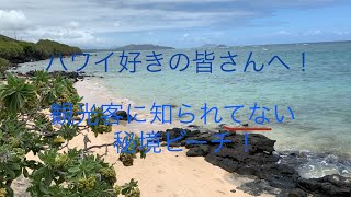 ぶらりハワイ旅#23 ハワイ好きの皆さんを応援！ハワイの秘境ビーチに行ってみた！