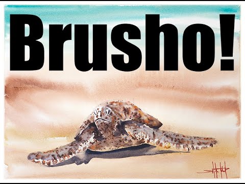Brusho Sea Turtle "How to Paint" with Ward Jene Stroud