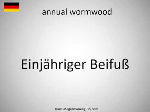 , title : 'How to say annual wormwood in German?'