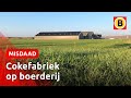 Colombiaanse cokeboeren in tranen in de rechtbank | Omroep Brabant