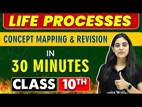 LIFE PROCESSES in 30 Minutes || Mind Map Series for Class 10th