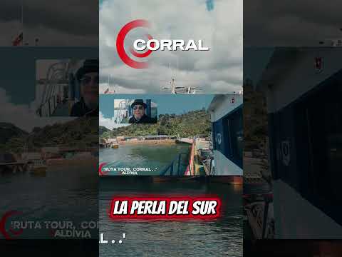 Valdivia Región de los Ríos/ La Perla del Sur #valdiviacl #quelindovaldivia