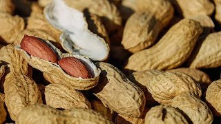 5 Lebensmittel die bei Arthritis und Gelenkschmerzen helfen