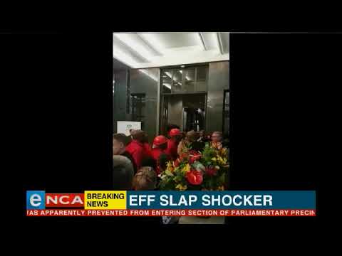 EFF slap shocker after Sona 2019