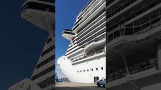 ♥️🚢#viewersloverviews #shorts #cruiselife #youtubeshorts