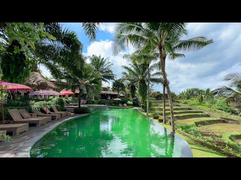 Blue Karma Dijiwa Ubud, Bali, Wonderful Jungle Hotel | 4K Tour & Vlog