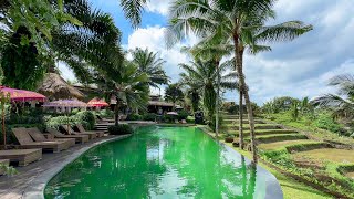 Blue Karma Dijiwa Ubud, Bali, Wonderful Jungle Hotel | 4K Tour & Vlog