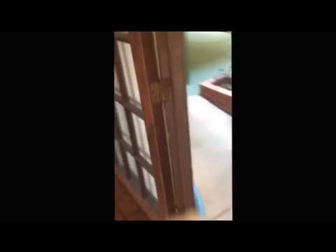 310-908-5492 Hawthorne Ca. Apartment Carpet Cleaning. FREE QUOTES!