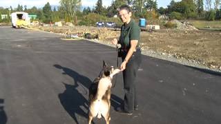 preview picture of video 'Training Your Canine in the Cowichan Valley - Shaw TV Duncan'