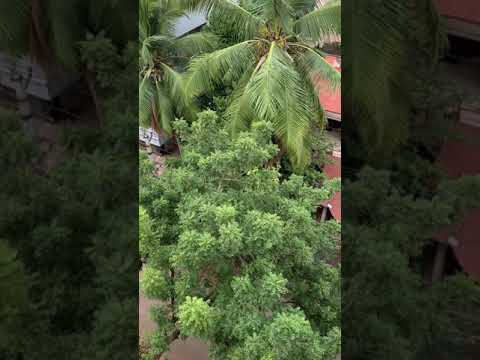 What a climate | amazing | Ravali’s Vlogs