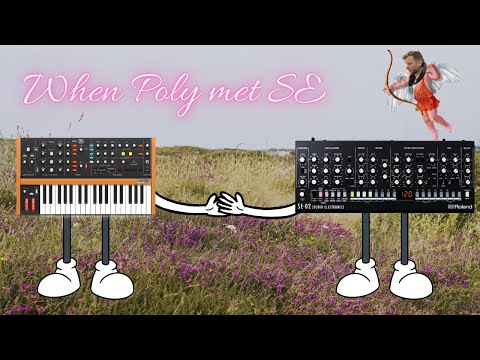 Roland SE-02 vs Behringer Poly D - NO TALKING - When Poly Met SE
