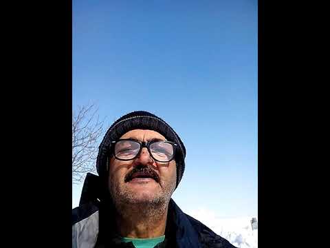 Inzapezire Pecineaga