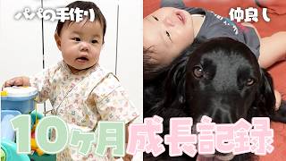 【毎日育児vlogまとめ】10ヶ月 | パパの手作り!レイくんと仲良し🐶