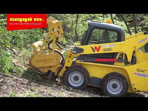 Miniforst CL on Wacker Neuson