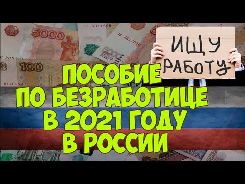 Пособие по безработице в 2021 году в России